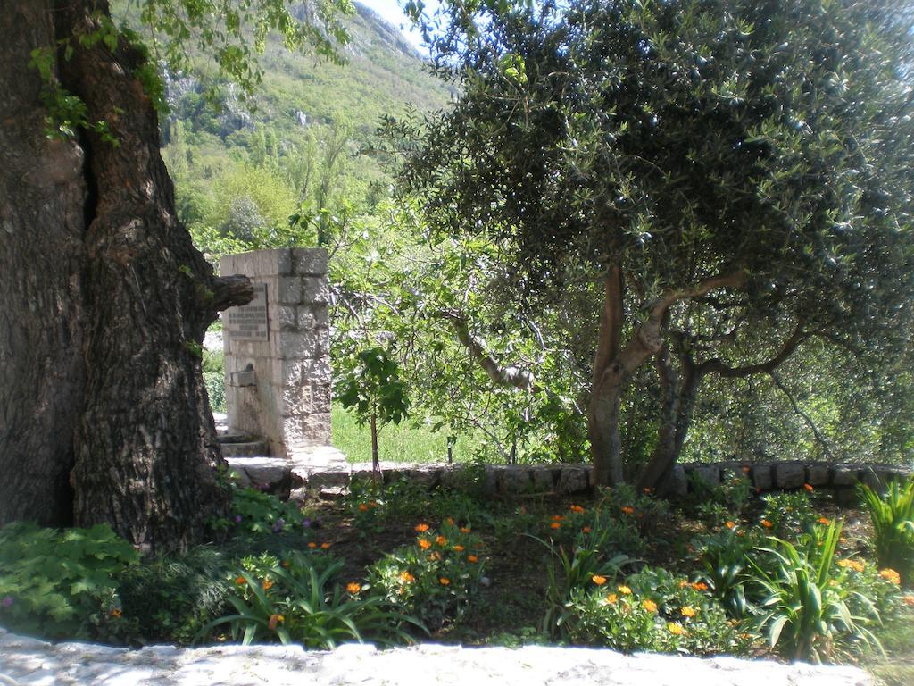 Villa Lidija Budva Chambre photo